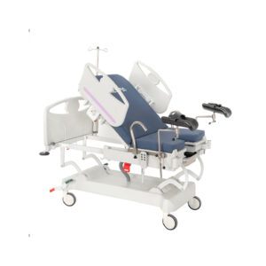 Mespa Elegant 5040 Electronic Delivery Bed